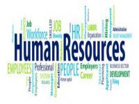 نظم المحاسبة عن الجوانب المالية لشؤون الموظفين والموارد البشرية وتخطيط وقياس ورقابة الأجور والمرتبات